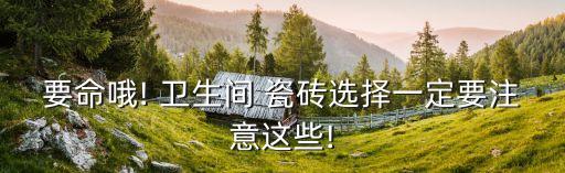 卫生间瓷砖不能用什么砖