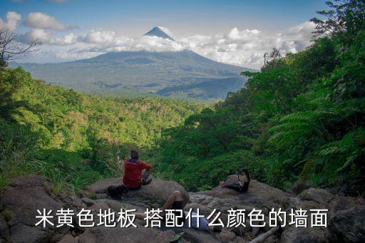 米黄色地板 搭配什么颜色的墙面