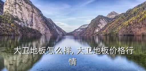 欧洲大卫瓷砖品牌,卢浮宫大卫瓷砖是几线品牌