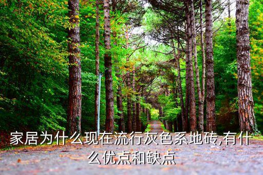 家居为什么现在流行灰色系地砖,有什么优点和缺点