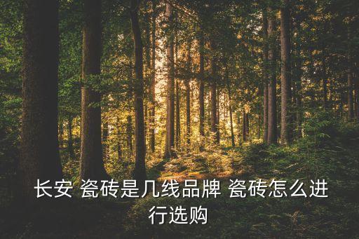 厨房瓷砖长安砖效果图,厨房400x800瓷砖效果图