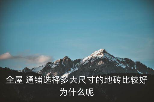 全屋 通铺选择多大尺寸的地砖比较好为什么呢