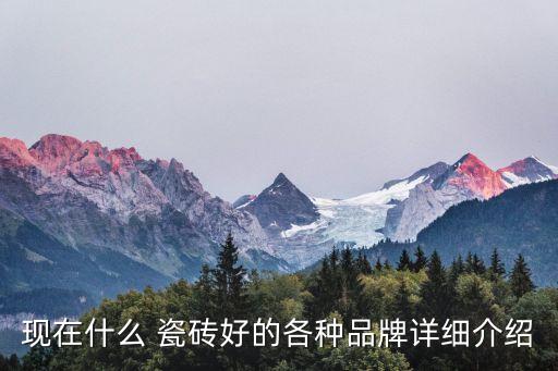 家用装潢瓷砖哪个品牌好,家用瓷砖哪个品牌性价比最高