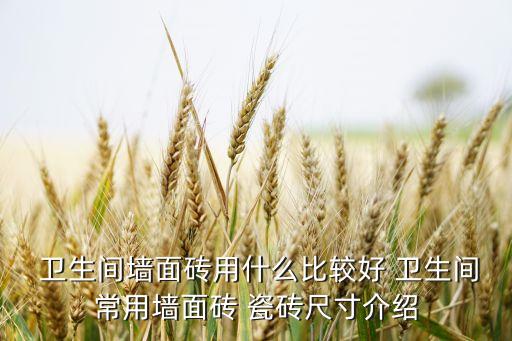  卫生间墙面砖用什么比较好 卫生间常用墙面砖 瓷砖尺寸介绍