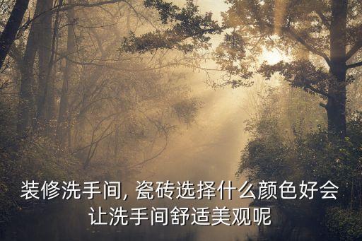 装修洗手间, 瓷砖选择什么颜色好会让洗手间舒适美观呢