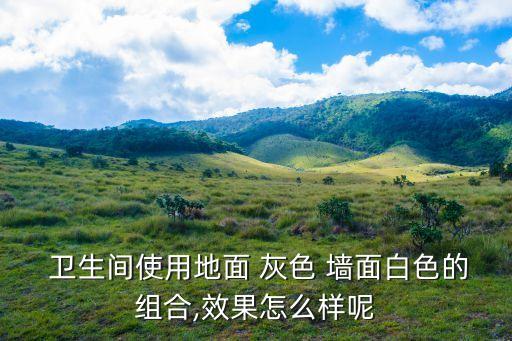 卫生间淡灰色柔光瓷砖,柔光的瓷砖能用卫生间吗