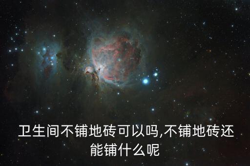  卫生间不铺地砖可以吗,不铺地砖还能铺什么呢
