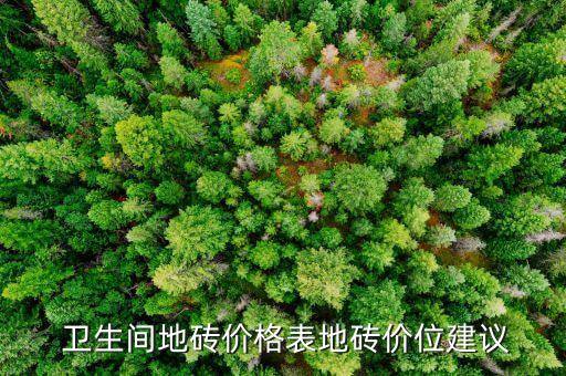  卫生间地砖价格表地砖价位建议