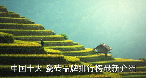 中国十大 瓷砖品牌排行榜最新介绍