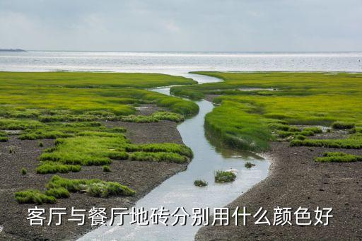 饭厅墙上瓷砖效果图,客厅墙上贴瓷砖效果图 现代风格