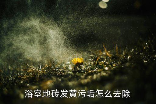 浴室地砖发黄污垢怎么去除