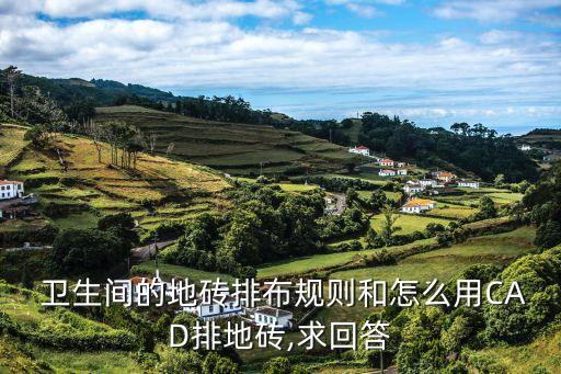 cad卫生间墙面瓷砖画法,墙面瓷砖排版cad怎么画