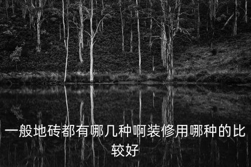 一般地砖都有哪几种啊装修用哪种的比较好
