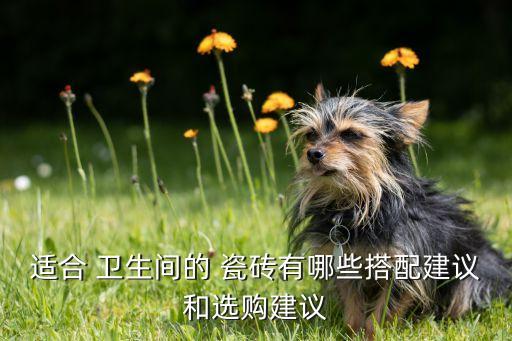 适合 卫生间的 瓷砖有哪些搭配建议和选购建议
