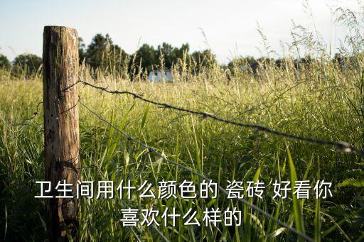 卫生间地面瓷砖好看吗