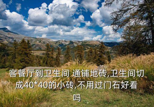 客餐厅到卫生间 通铺地砖,卫生间切成40*40的小砖,不用过门石好看吗