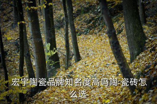  宏宇陶瓷品牌知名度高吗陶 瓷砖怎么选