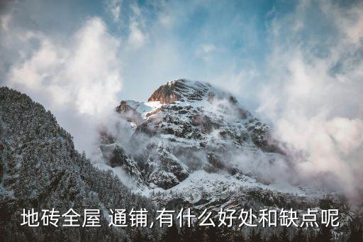 瓷砖通铺过门石效果图