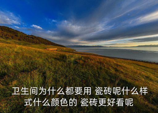  卫生间为什么都要用 瓷砖呢什么样式什么颜色的 瓷砖更好看呢