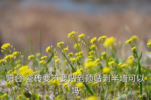 阳台 瓷砖要不要贴到顶贴到半墙可以吗