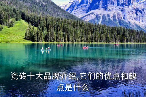  瓷砖十大品牌介绍,它们的优点和缺点是什么