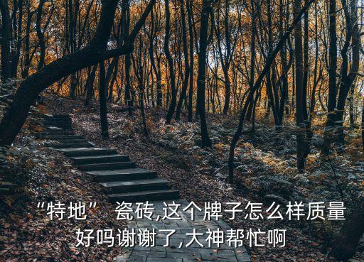 特价瓷砖是一个品牌吗