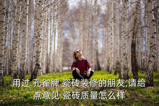 孔雀纹理瓷砖效果图,大纹理瓷砖地面效果图