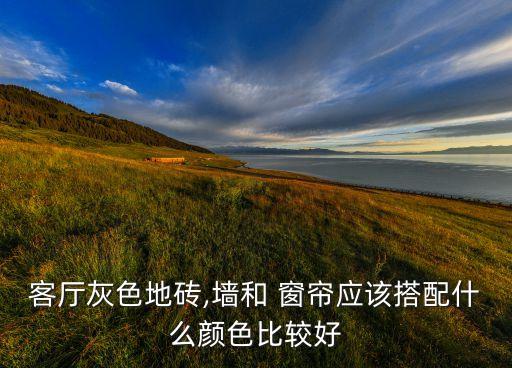 客厅灰色地砖,墙和 窗帘应该搭配什么颜色比较好
