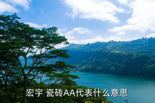 宏宇 瓷砖AA代表什么意思