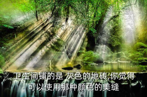  卫生间铺的是 灰色的地砖,你觉得可以使用那种颜色的美缝