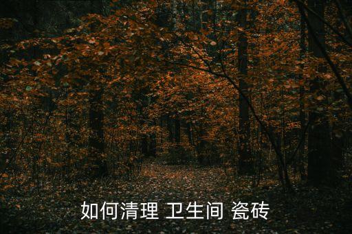 卫生间瓷砖平常怎么清洗,清洗卫生间瓷砖用什么擦最干净
