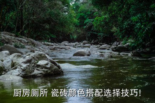 厨房厕所 瓷砖颜色搭配选择技巧!