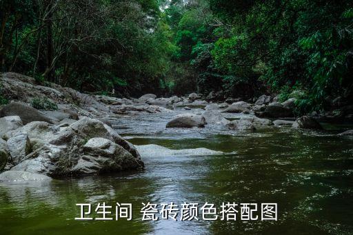卫生间 瓷砖颜色搭配图