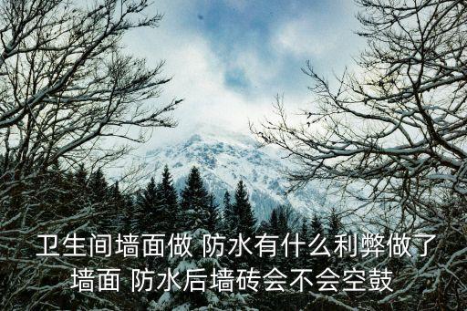  卫生间墙面做 防水有什么利弊做了墙面 防水后墙砖会不会空鼓