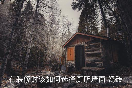卫生间常用墙身瓷砖