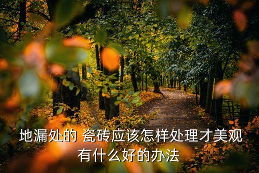  地漏处的 瓷砖应该怎样处理才美观有什么好的办法