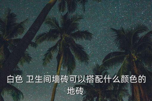 白色 卫生间墙砖可以搭配什么颜色的地砖