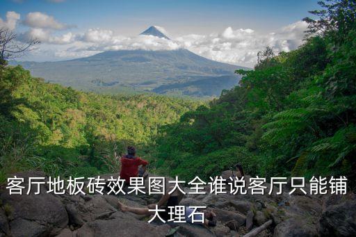 客厅地板砖效果图大全谁说客厅只能铺大理石