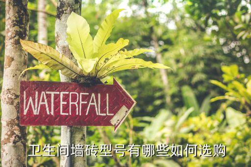  卫生间墙砖型号有哪些如何选购