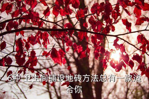 蜂窝型瓷砖卫生间搭配