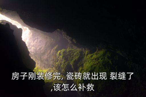 卫生间瓷砖墙裂缝