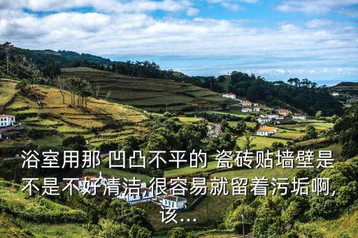 浴室用那 凹凸不平的 瓷砖贴墙壁是不是不好清洁,很容易就留着污垢啊,该...