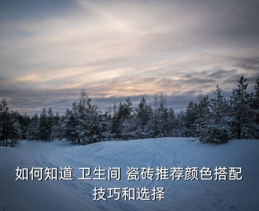如何知道 卫生间 瓷砖推荐颜色搭配技巧和选择