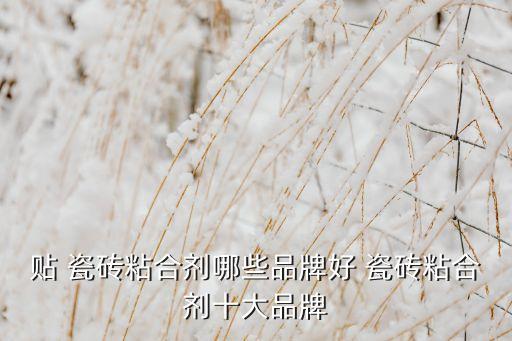 海南加强瓷砖胶什么品牌好
