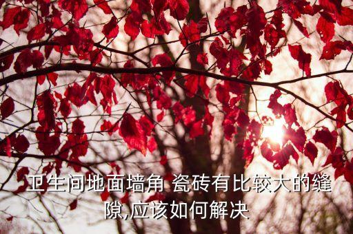  卫生间地面墙角 瓷砖有比较大的缝隙,应该如何解决
