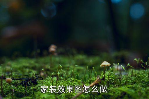 家装效果图怎么做