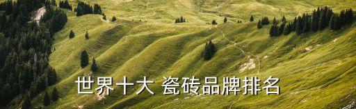世界十大 瓷砖品牌排名