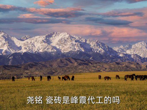 尧铭 瓷砖是峰霞代工的吗