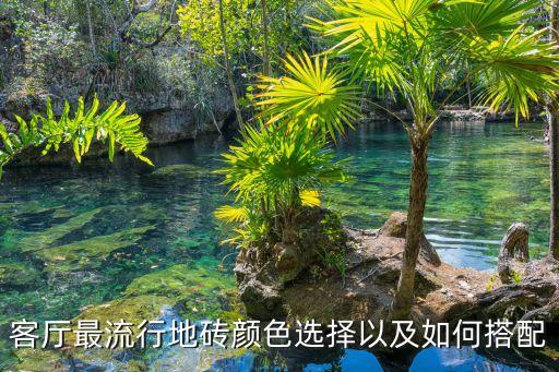 客厅最流行地砖颜色选择以及如何搭配