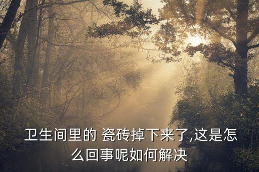  卫生间里的 瓷砖掉下来了,这是怎么回事呢如何解决